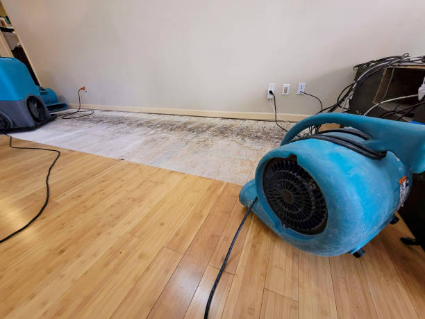 Professional Water Extraction technician working in Rosedale, CA